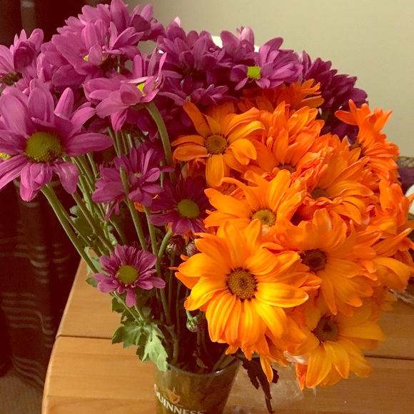 Meet your Posher, Laura - Picture 2 of 2